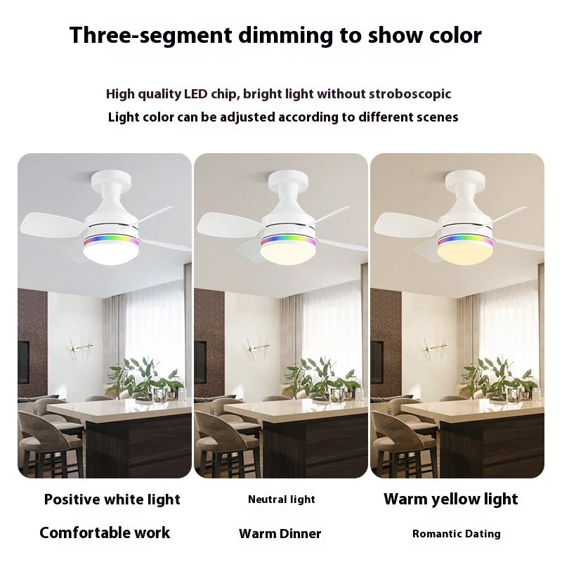 LED E27 Ceiling Fan Light Dimmable with Remote Control 3-Speed RGB Mood Lighting 3 Color Temperature Quiet Operation — view 7